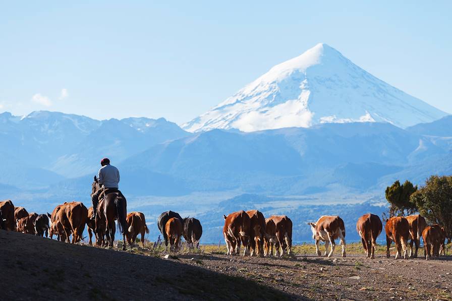 Région du volcan Lanin - Argentine © dmitry_saparov / Fotolia