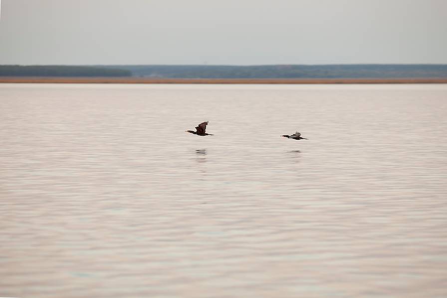 Puerto Valle - Argentine © Droits réservés