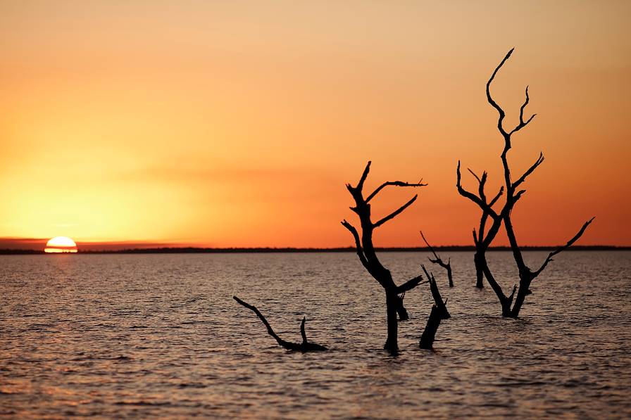 Puerto Valle - Argentine © Droits reservés