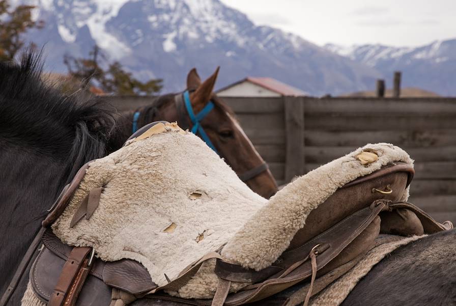 Patagonie - Argentine © Alix Pardo