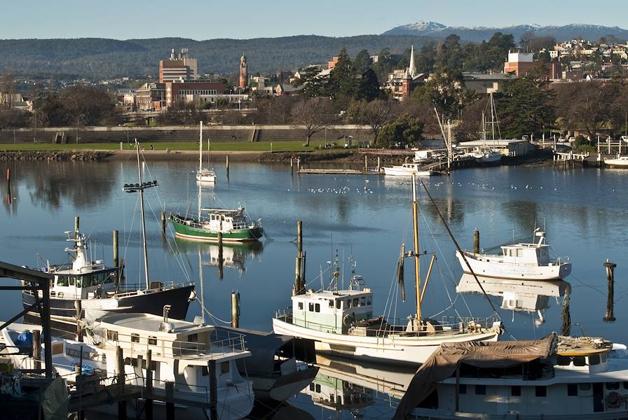 Launceston - Tasmanie - Australie © Redzaal / Getty Images / iStockphoto