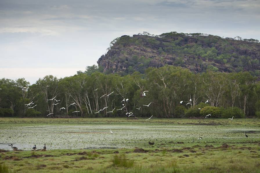 Parc national de Kakadu - Territoire du Nord - Australie © Northern Territory Tourism