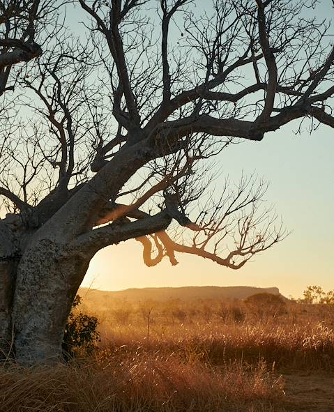 Australie © Lauren Bamford