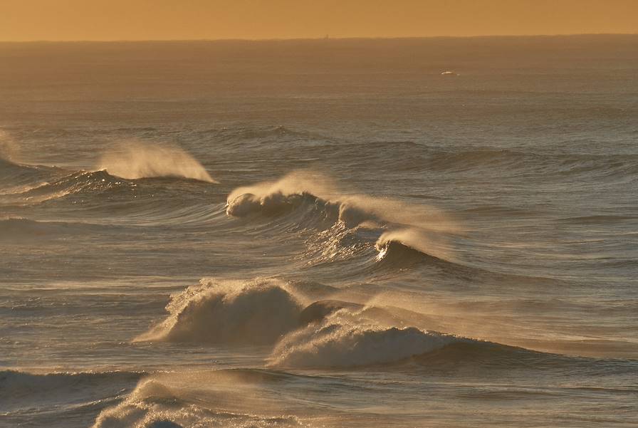 Newcastle Beach - Australie © Lauren Bamford