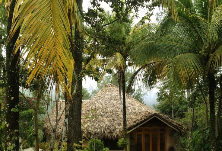 Mountain Pine Ridge - Belize © Droits reservés