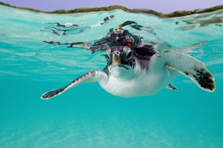 Belize © ImageSource/REA