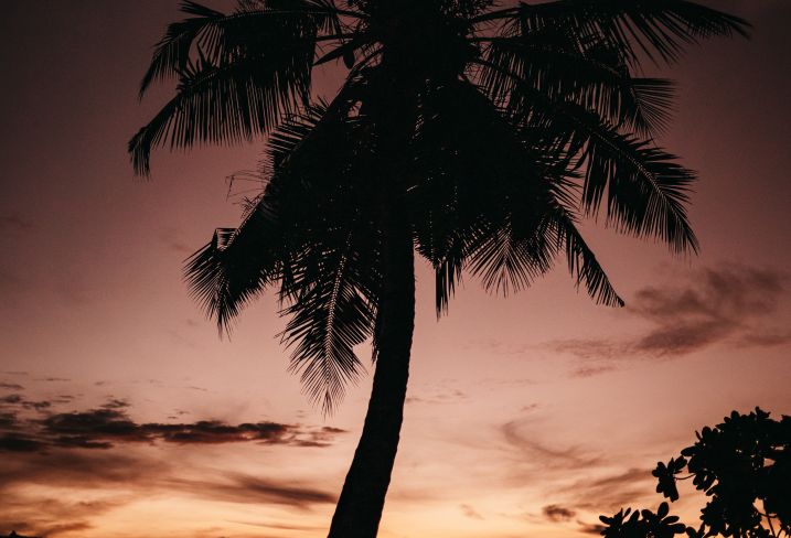 Belize © Vanessa Martin