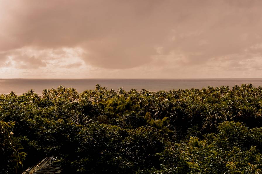 Ile de Boipeba - Bahia - Brésil © Alix Pardo