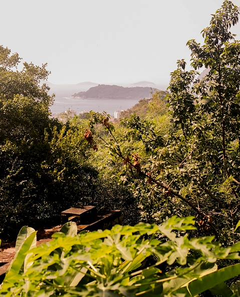 Santa Teresa - Rio de Janeiro - Brésil © Alix Pardo