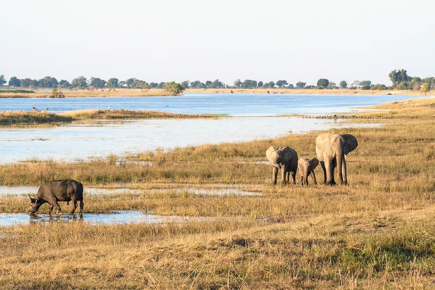 Delta de l'Okavango - Botswana © Nils Ackermann/iconimage/Fotolia