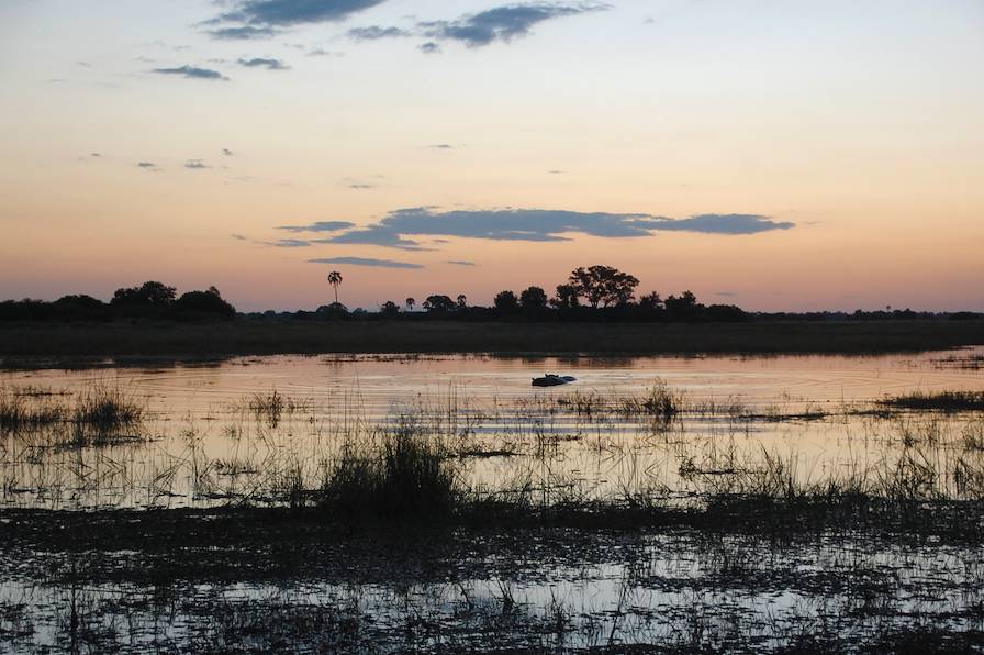 Moremi Game Reserve - Botswana © Aminata Konte