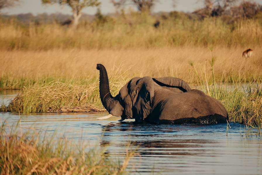 Botswana © Michael Kuhlmann/stock.adobe.com