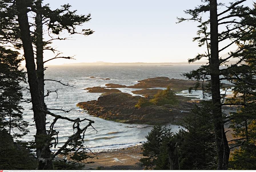 Ile de Vancouver - Canada © Gerald Haenel/LAIF-REA