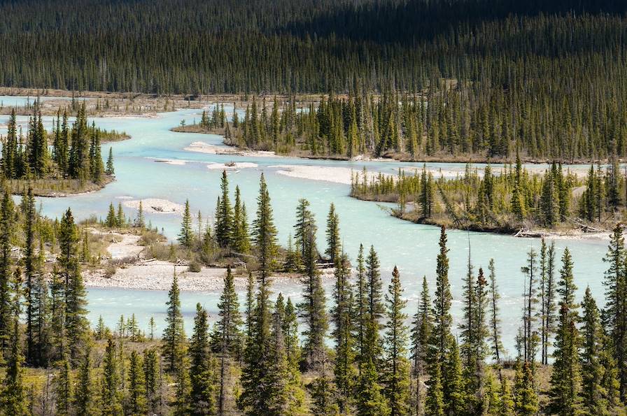 Rivière Saskatchewan - Parc national de Banff - Alberta - Canada © Thomas Linkel/LAIF-REA