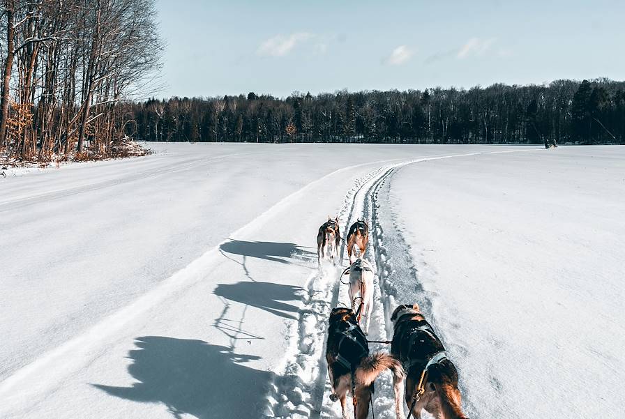 Québec - Canada © Tom Du Bois / Pexels.com