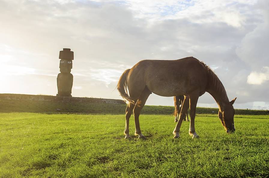 Ile de Pâques (Rapa Nui) - Chili © Vladimir Krupenkin/Getty Images/iStockphoto