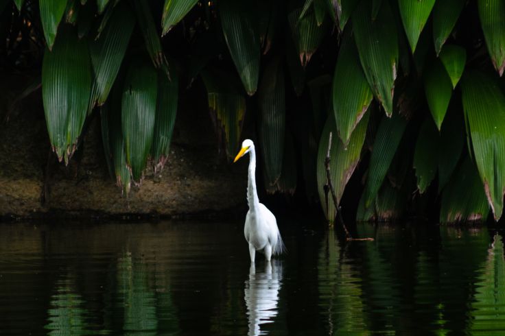 Colombie © Gebarret0/stock.adobe.com