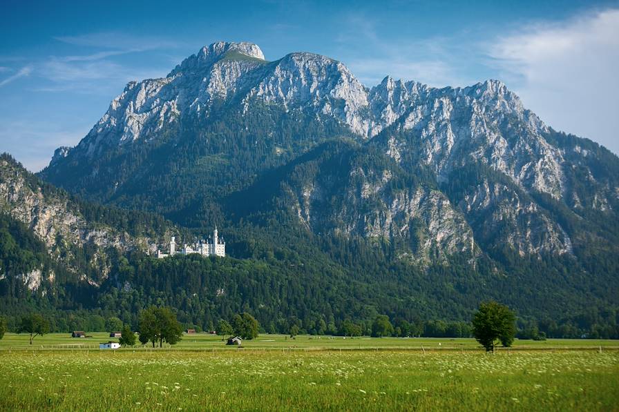 Château de Neuschwanstein - Schwangau - Allemagne © Dudarev Mikhail/Fotolia