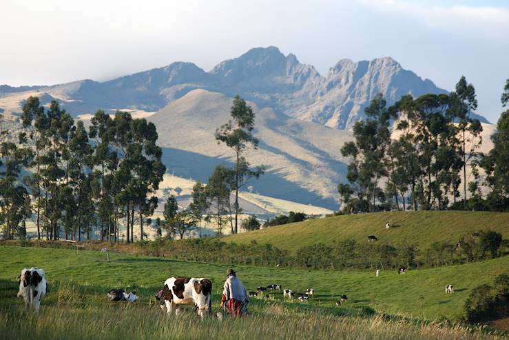 Ruminahui - Pichincha - Equateur © Marc Oliver Schulz/laif-REA