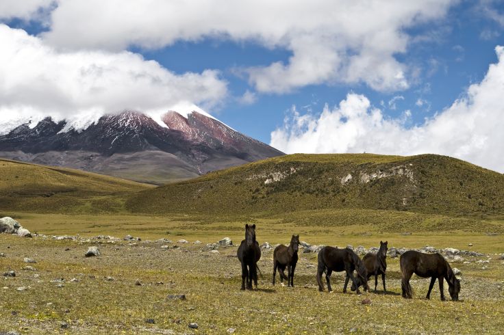 Volcan Cotopaxi - Equateur © delkoo / Fotolia