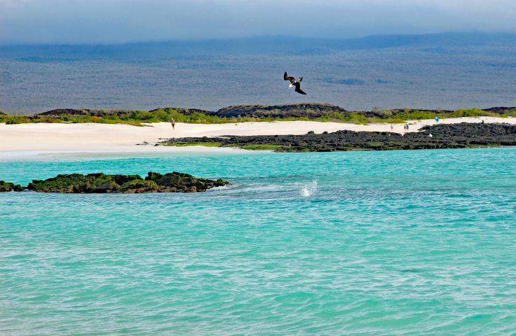 Îles Galápagos - Equateur © Getty Images/iStockphoto