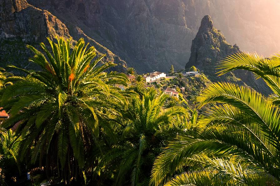 île de Ténérife - Iles Canaries - Espagne © Saul Santos/Promotur Turismo Canarias