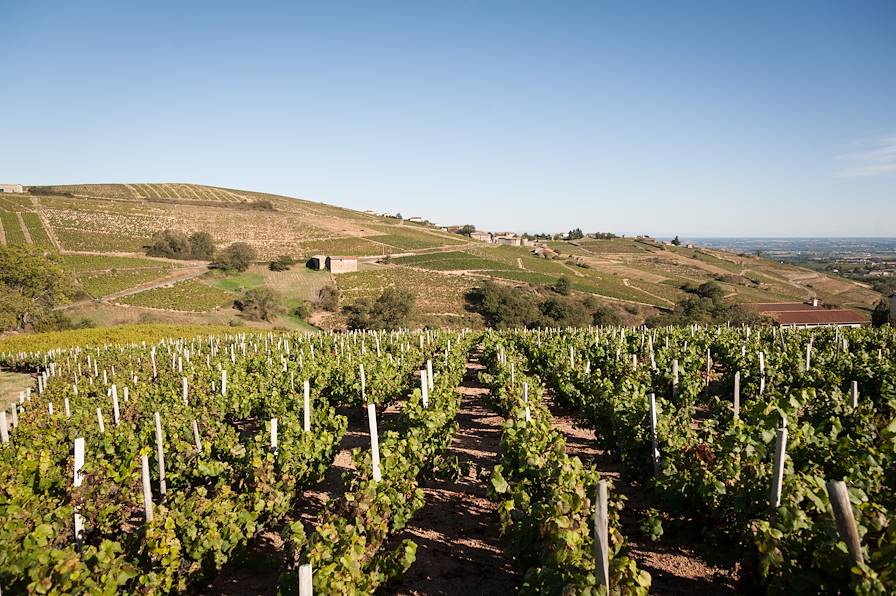 Bourgogne - France © Vincent Poillet/REA