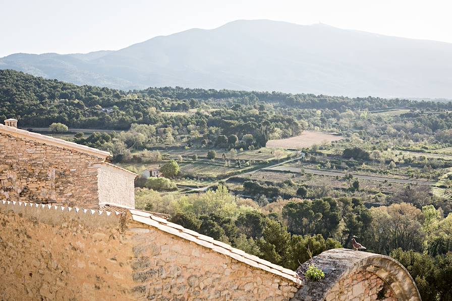 Crillon le Brave - France © Yann Deret/ DR