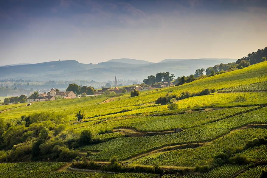 Bourgogne - France © Eléonore H/stock.adobe.com