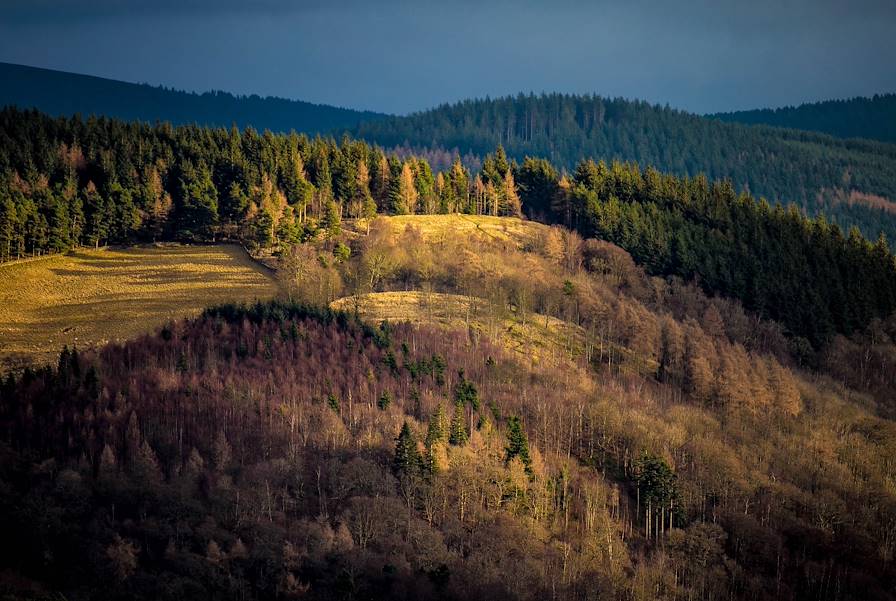 Ecosse - Royaume-Uni © Steve - stock.adobe.com