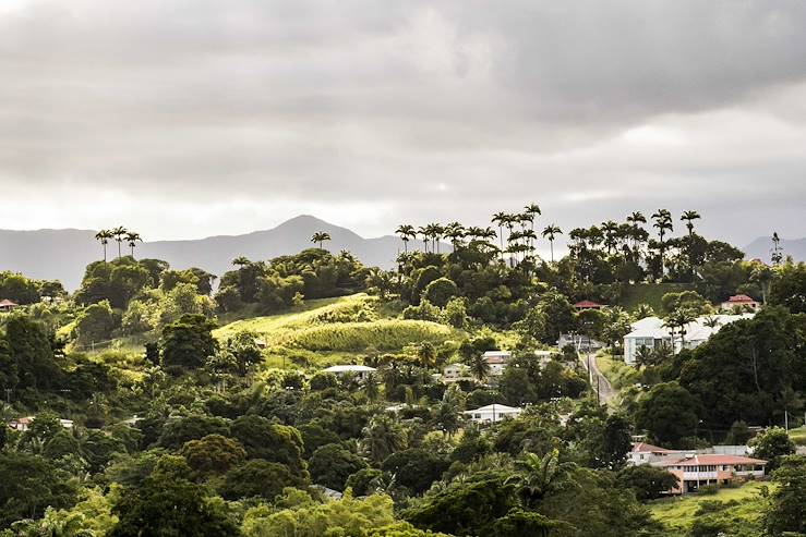 Petit Bourg - Basse Terre - Guadeloupe © Peter Frank Edwards/REDUX-REA