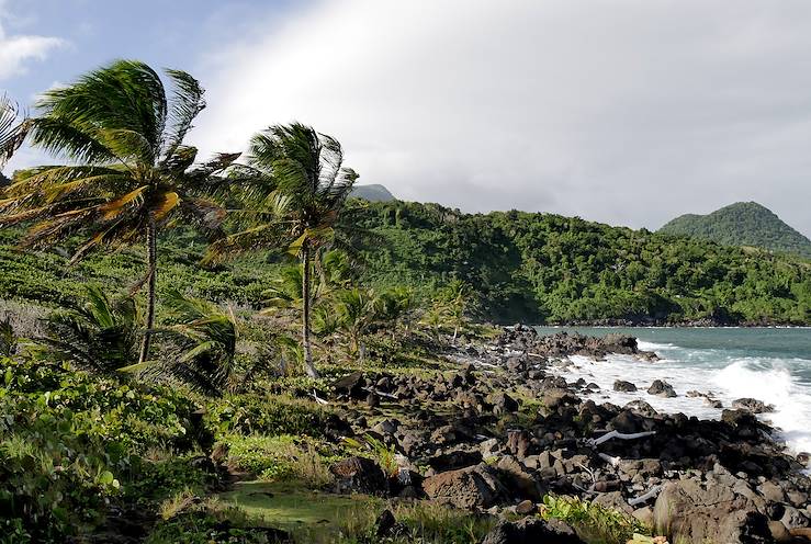 Anse Grand Ravine - Trois Rivières - Guadeloupe © Picasa / Adobe Stock