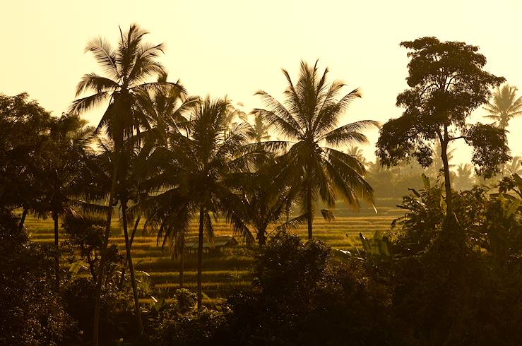 Voyage De Noces En Indonésie Java Bali Florès