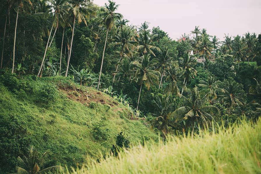 Bali - Indonésie © Nataliya Kalcheva/Getty Images/iStockphoto