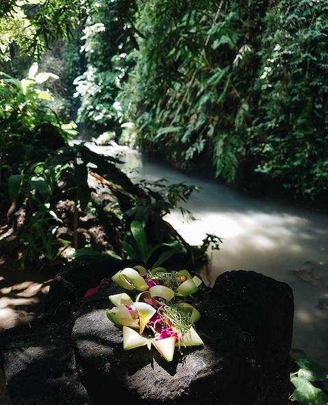 Bali - Indonésie © Faustine Poidevin