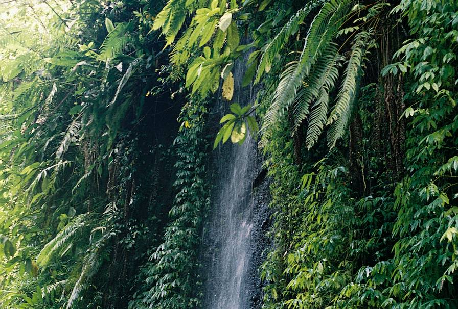 Bali - Indonésie © Faustine Poidevin