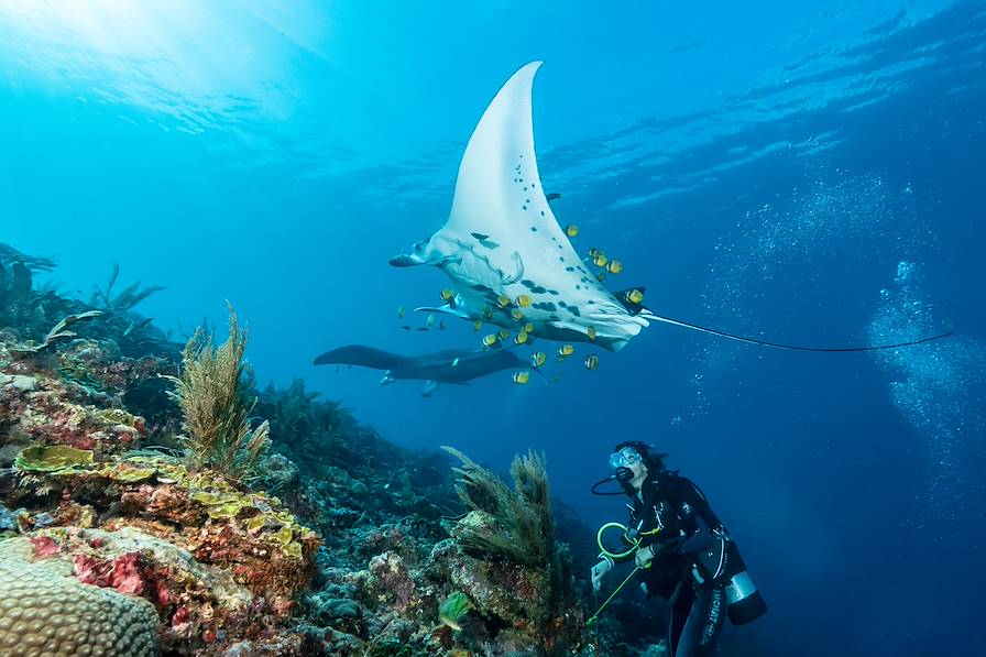 Archipel des Raja Ampat - Indonésie © Subphoto - stock.adobe.com