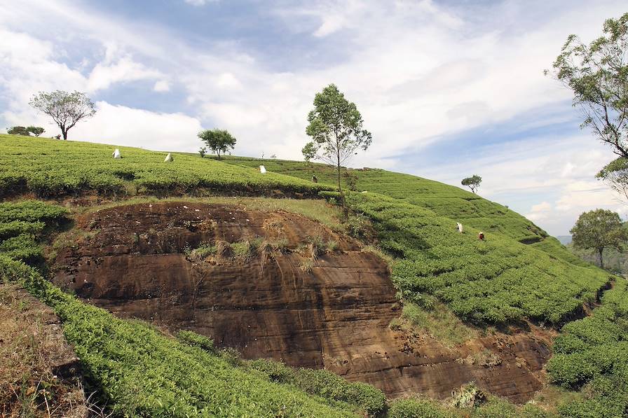 Région du Sikkim - Inde © Getty Images/iStockphoto