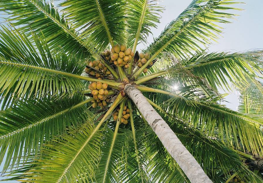 Maldives © Gerhard Westrich/laif