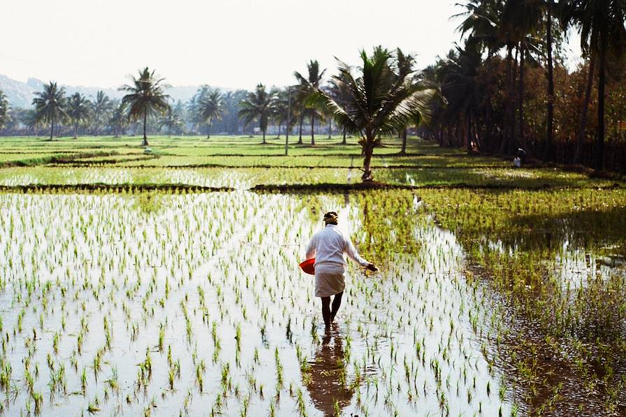 Karnataka - Inde © Oleh_Slobodeniuk