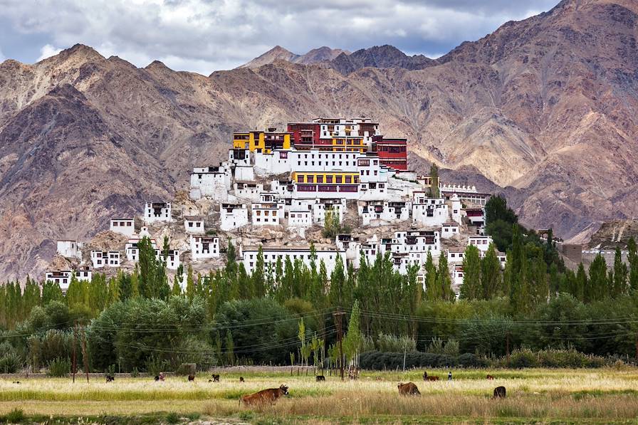 Monastère de Thiksey - Ladakh - Jammu-et-Cachemire - Inde © ImageSource/REA