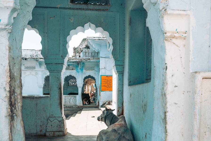 Inde © Adrien Chanut/stock.adobe.com