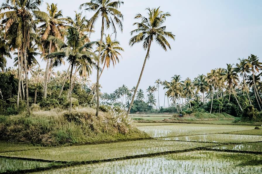 Kerala - Inde © Jérôme Galland