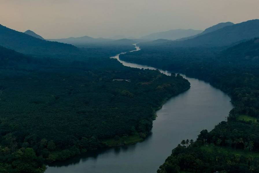 Munnar - Inde © Droits réservés