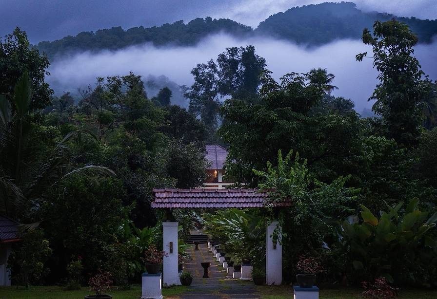 Munnar - Inde © Droits réservés