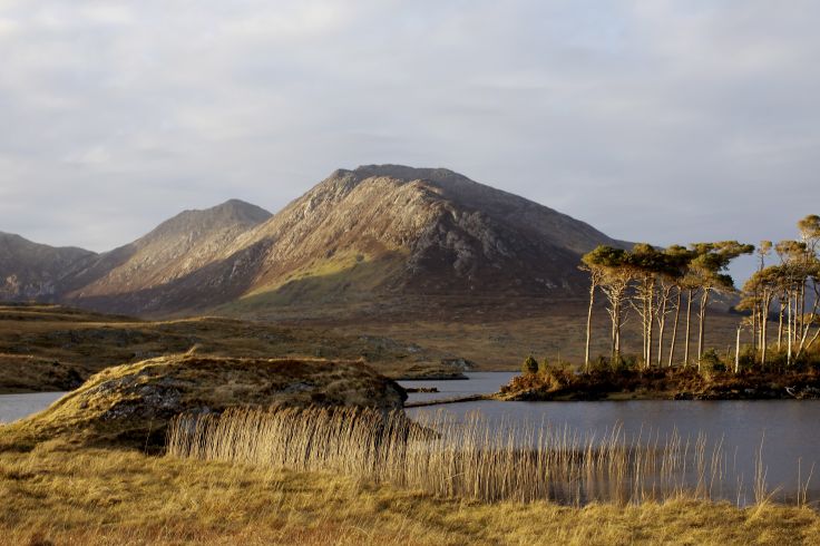 Connemara - Irlande © Kieran Dodds/PANOS-REA