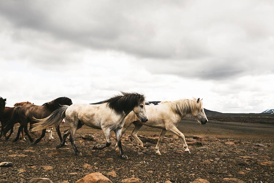 Islande © Un Cercle