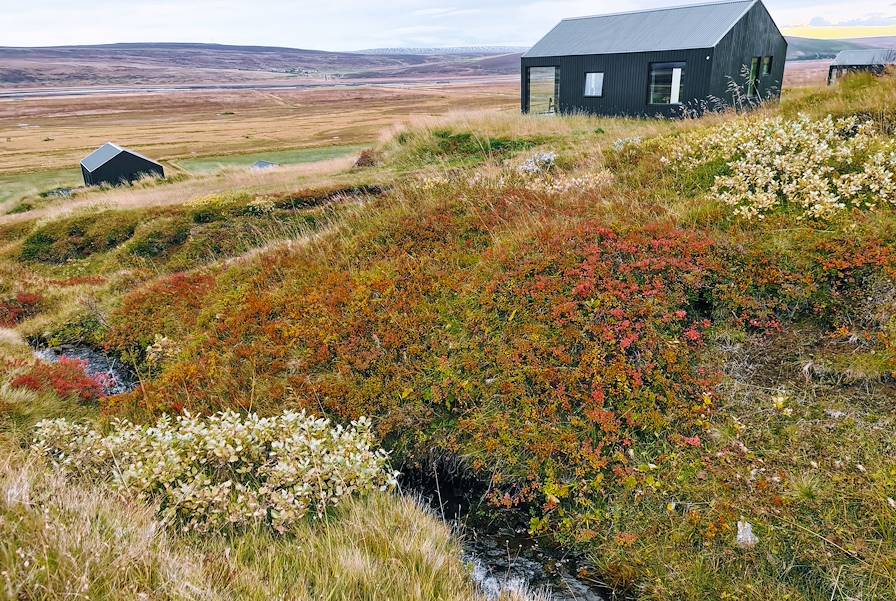 Husavik - Islande © Droits Réservés