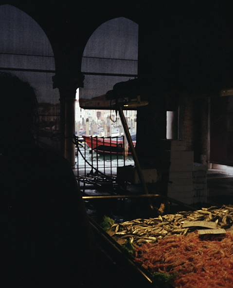 Venise - Italie © Marie Champenois