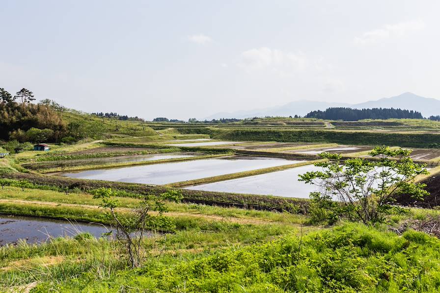 Tsuruoka - Japon © bluesnaps - stock.adobe.com